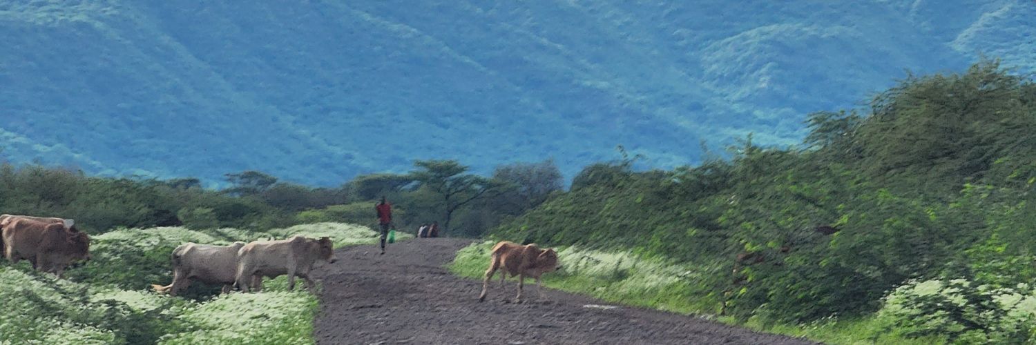 ngeringkwony's profile banner image