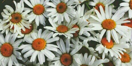 EllyKayShuttlew's profile banner image