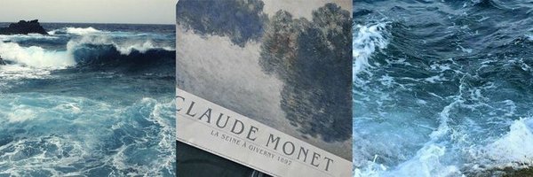 vap0ris Profile Banner