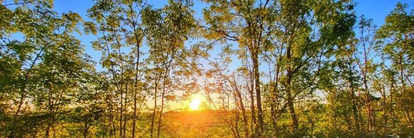 ChrisThiry Profile Banner