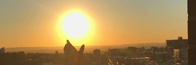 ashlieee24's profile banner image