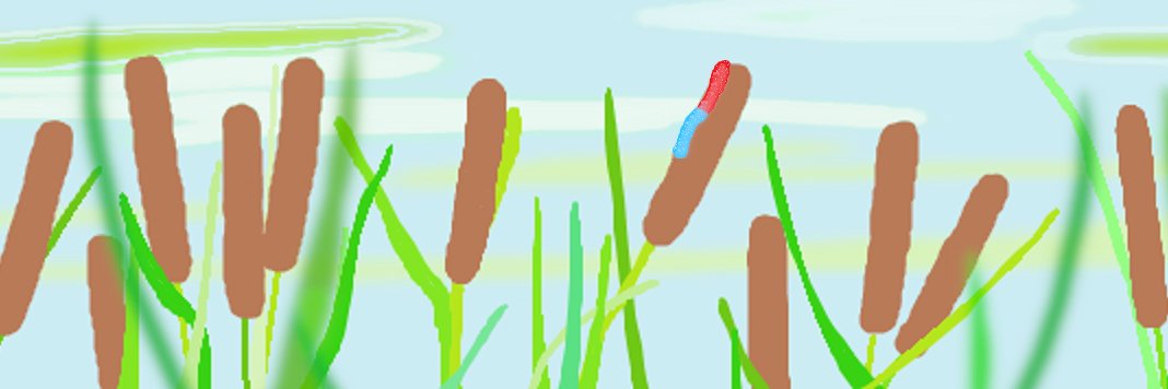 Basil_vt's profile banner image