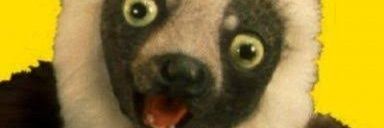 kirmizi2borg's profile banner image