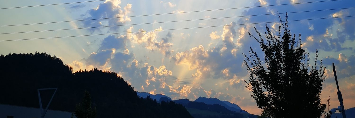 CryptoFelixi's profile banner image