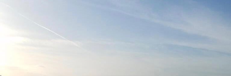 Aranaria's profile banner image