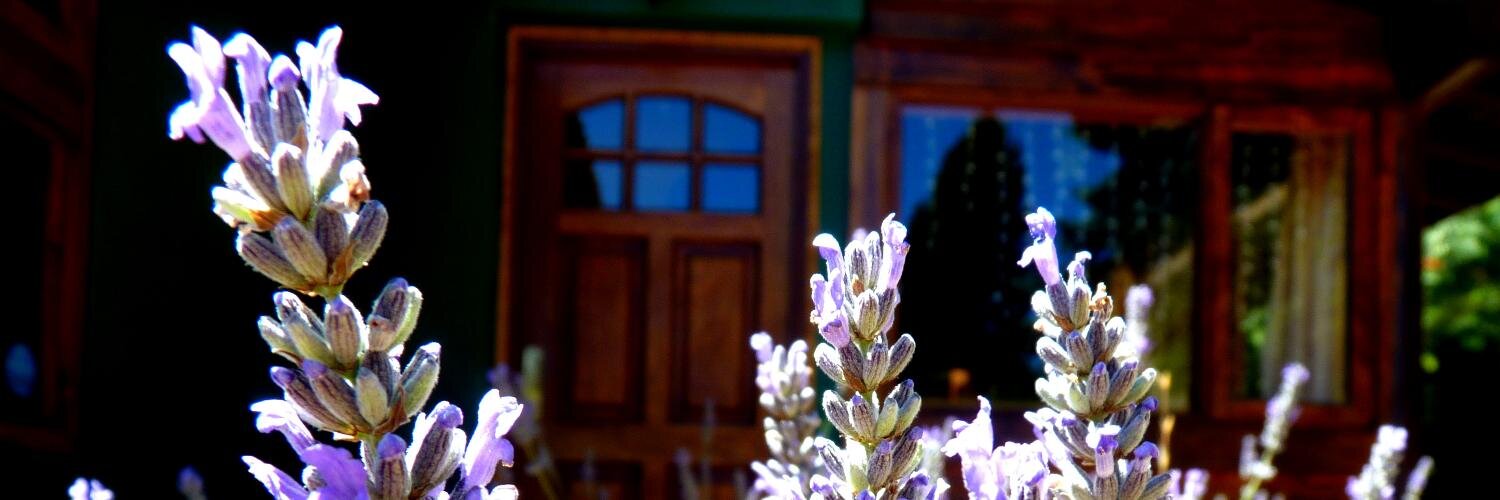 LliGuestHouse's profile banner image