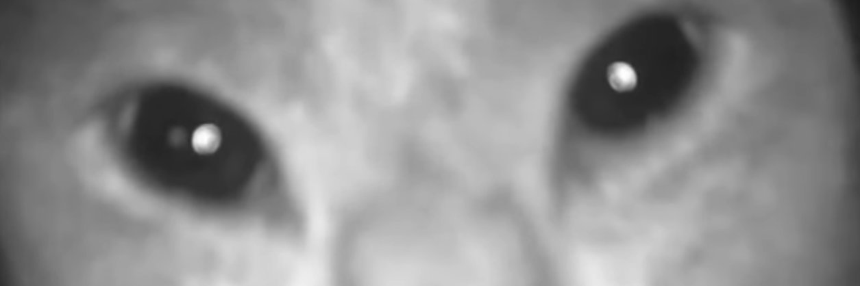 DarknessDooma's profile banner image