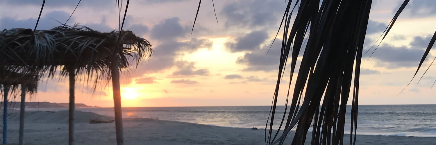 usrdavid's profile banner image