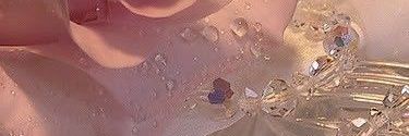 rr_norh's profile banner image