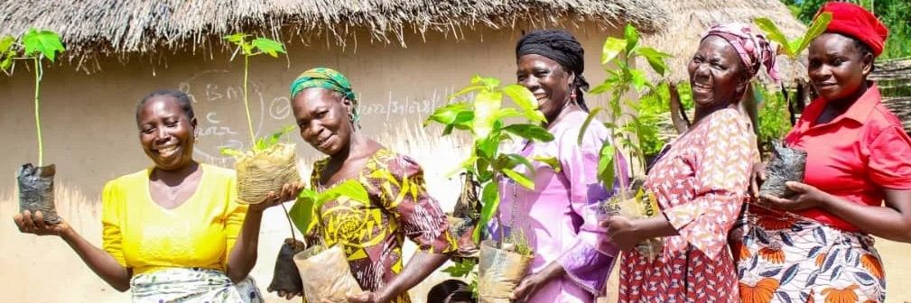 Urban Tree Revival Initiative banner