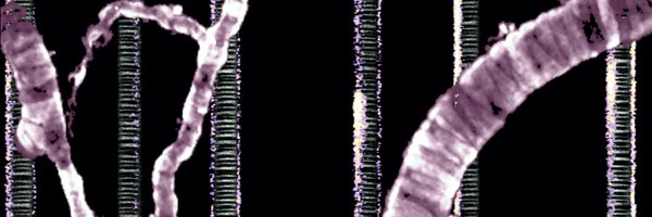 rungtalab Profile Banner