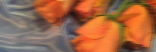 ꜱɪᴍᴏɴ ɴᴀᴛᴀᴇʟ banner