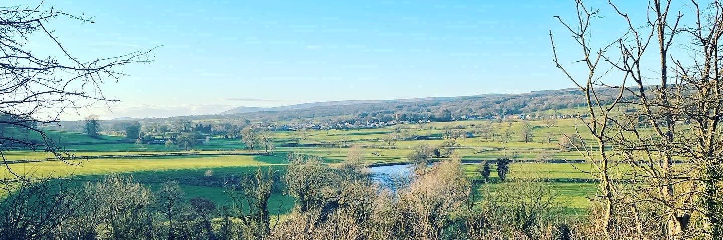 Hayley Kinowski banner