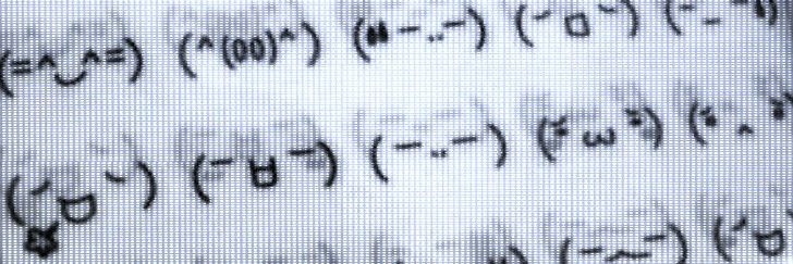 shiahpie's profile banner image