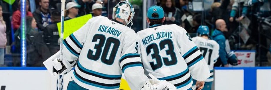 askysdoby's profile banner image