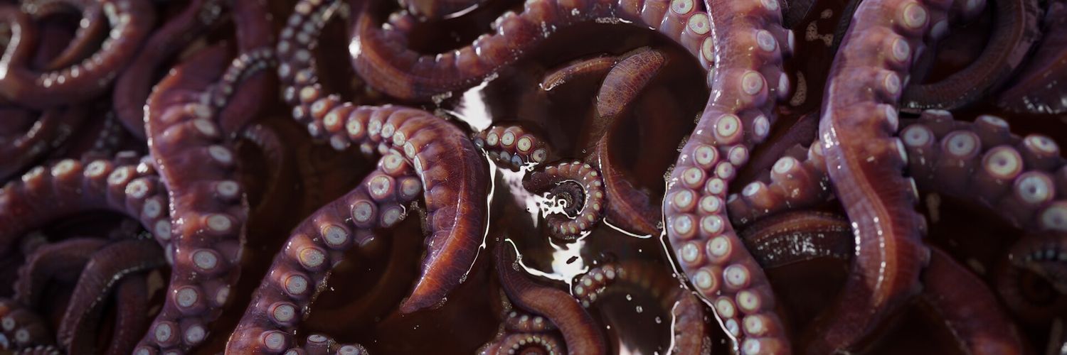 Howard Phillips Lovequest banner