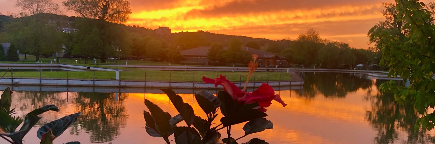 joy_joyryde's profile banner image