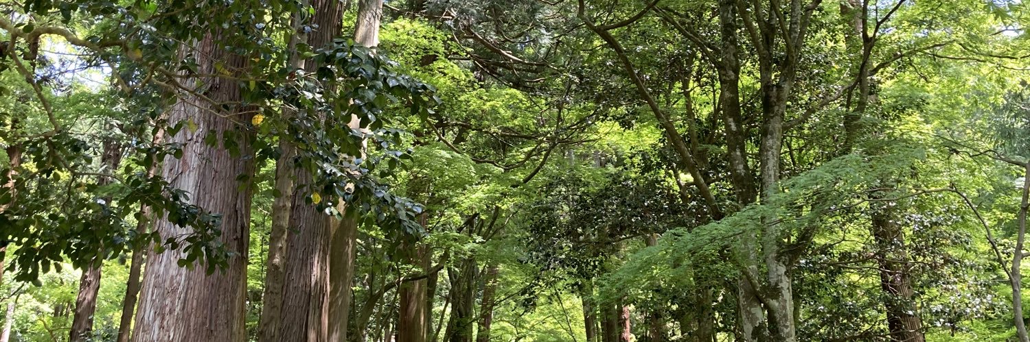 ryokohiro's profile banner image