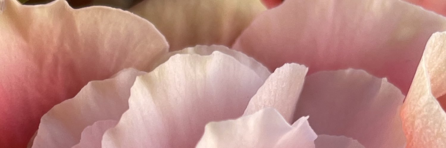 INEKO32's profile banner image
