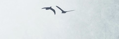 flowwithewind's profile banner image