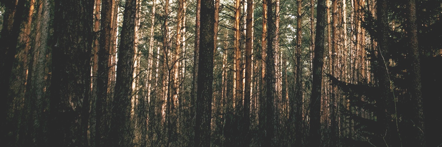 MARIADELMAR's profile banner image