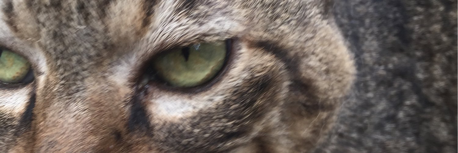 A_suke_A's profile banner image