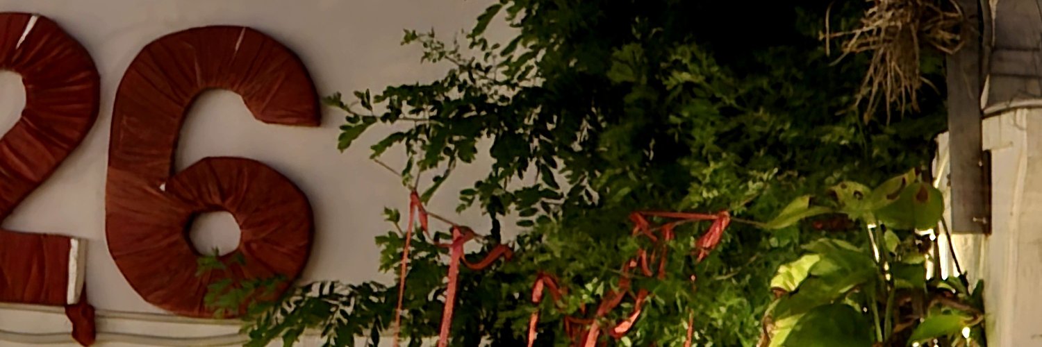 sariK1010's profile banner image
