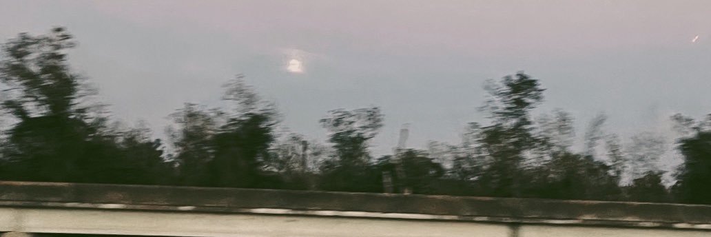 Colby Mayeux banner