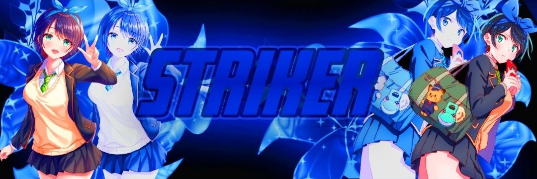 RULS Striker banner