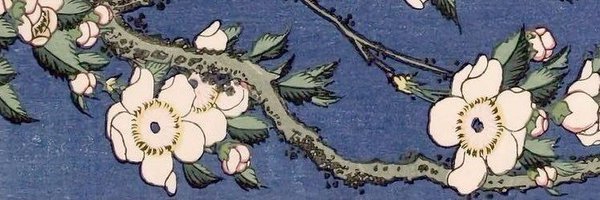 CamiLightnerVO Profile Banner