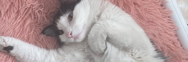 razureff Profile Banner