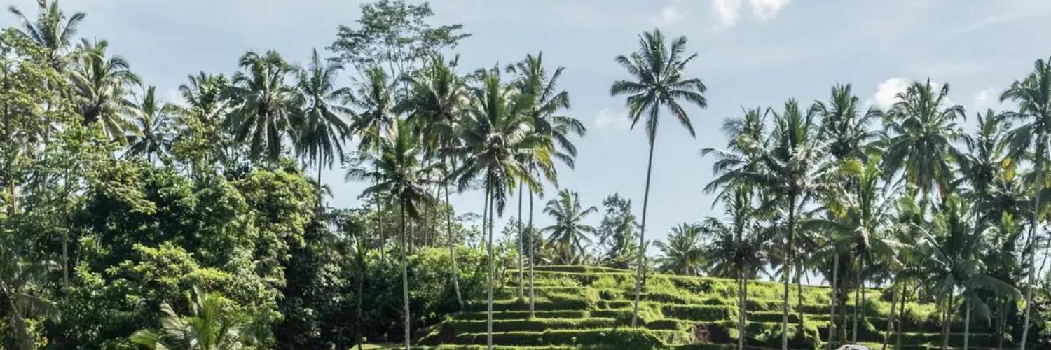 BraxtonSimmmons's profile banner image