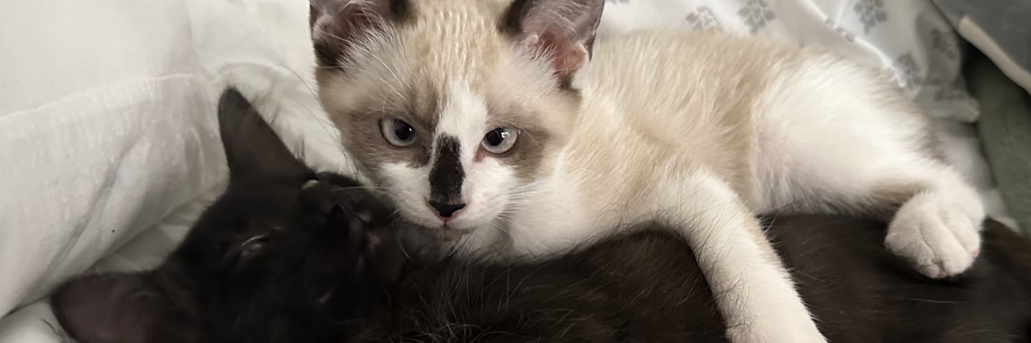 mariathejefa's profile banner image