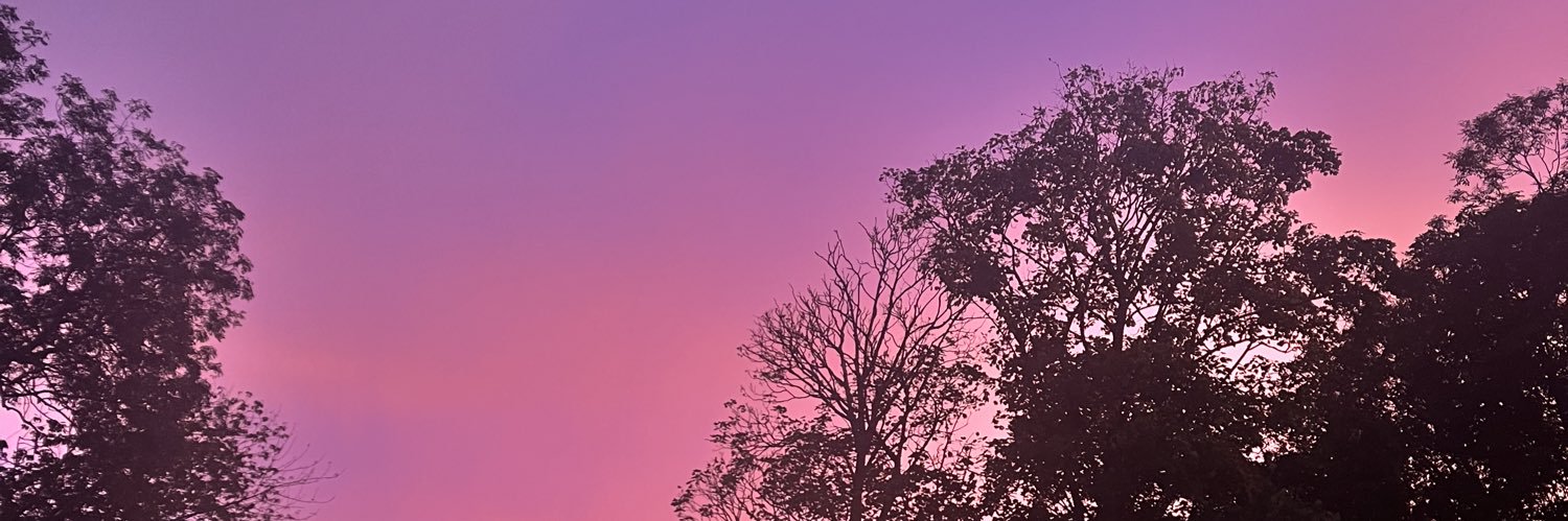 Lisa_Ctrn's profile banner image