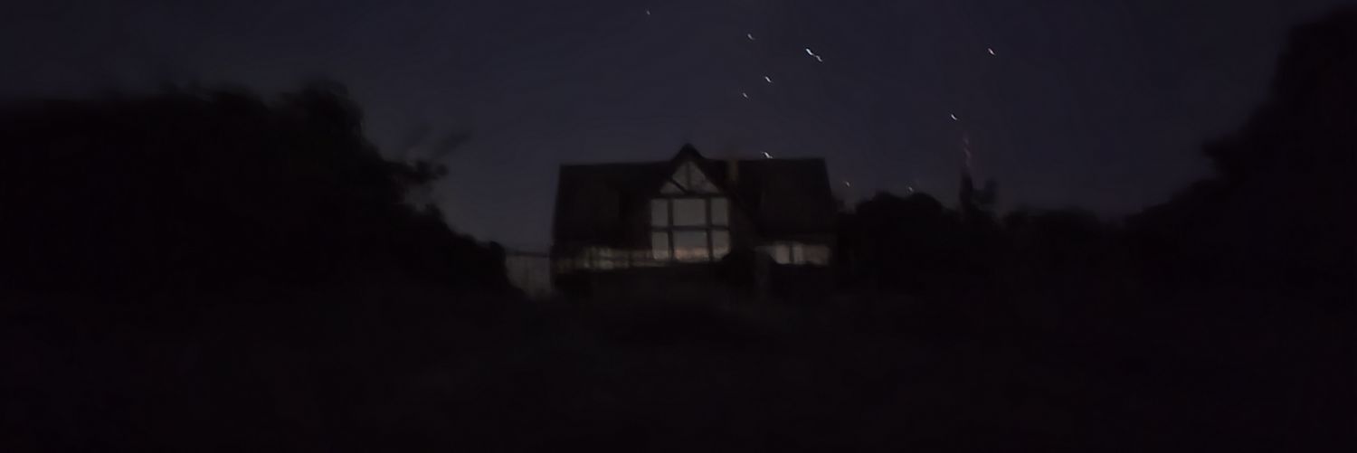 Wandering Fox banner