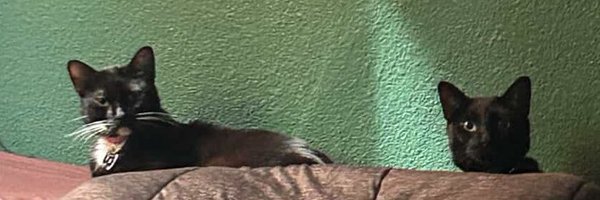 sunstruck22 Profile Banner