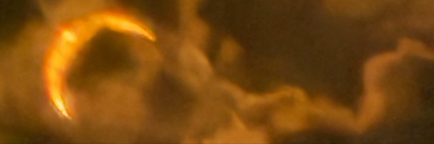 NFTgrowsystems's profile banner image