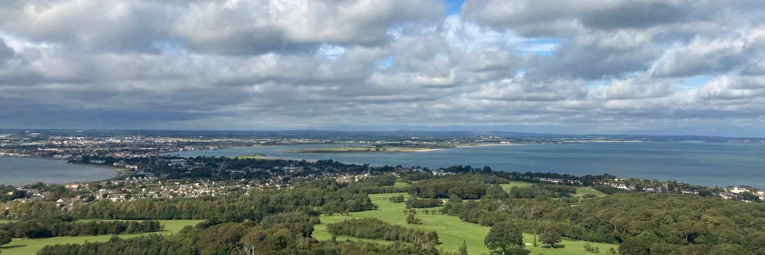 Emily Niedermeyer banner