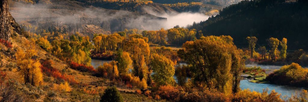 👻 Leslie 👻 banner