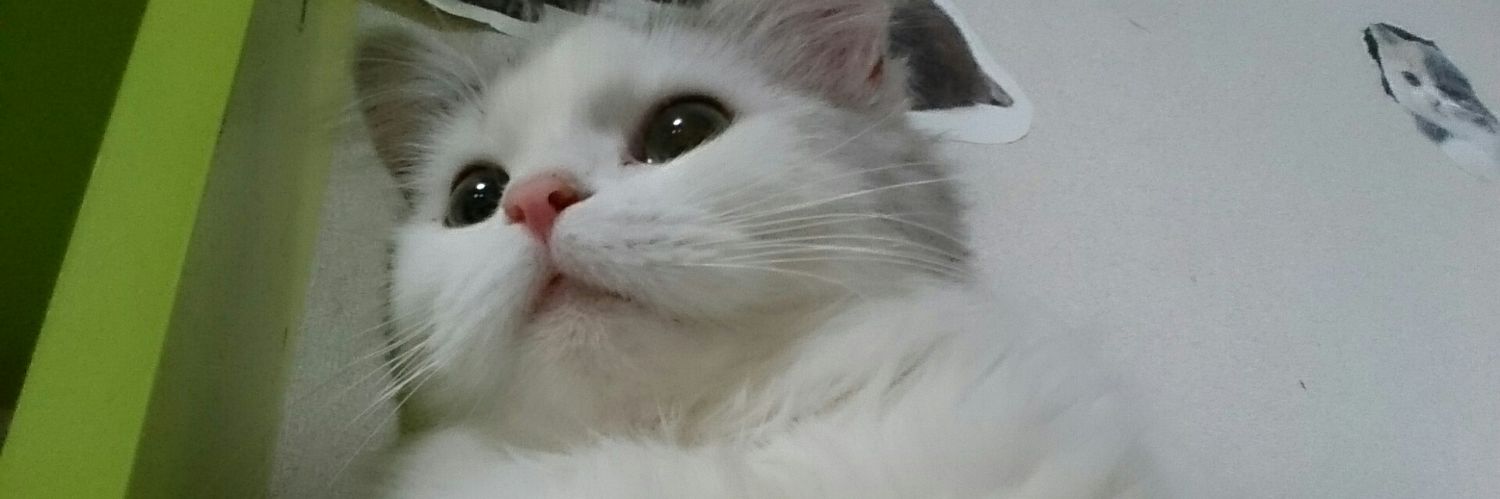 naaa_510's profile banner image