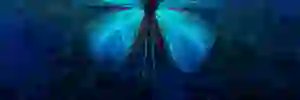 RieperSune's profile banner image