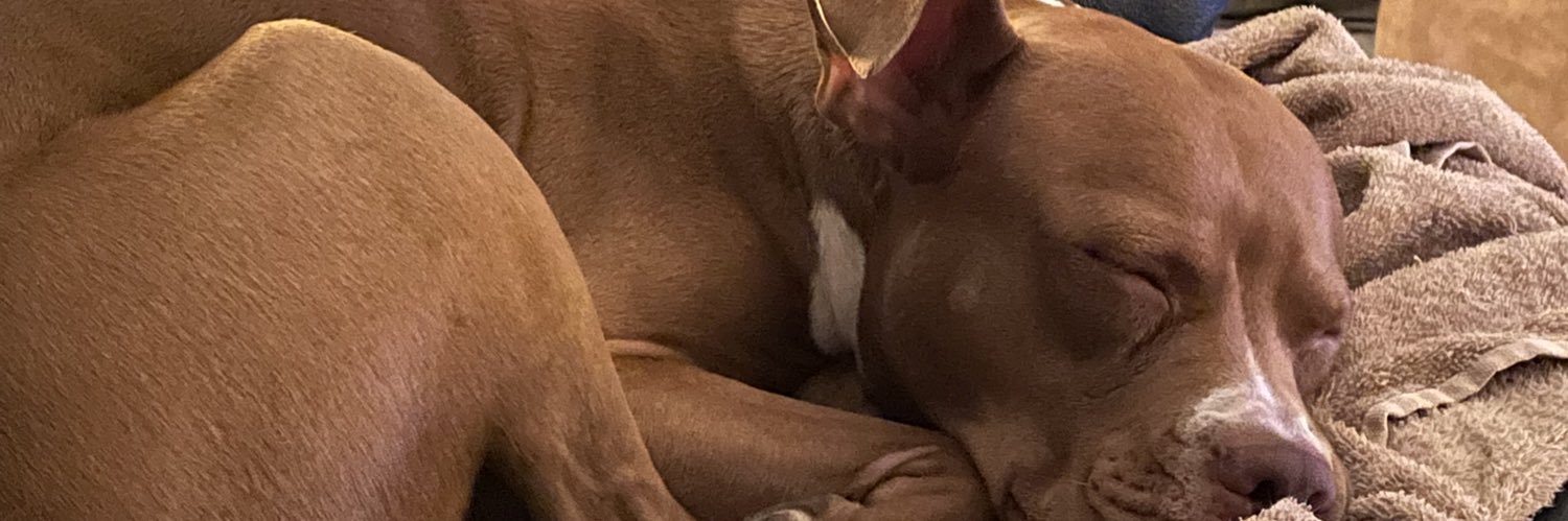 🇵🇷AP🇵🇷 ✊#PitbullsAreNotMonsters banner