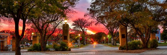 msum_prssa's profile banner image
