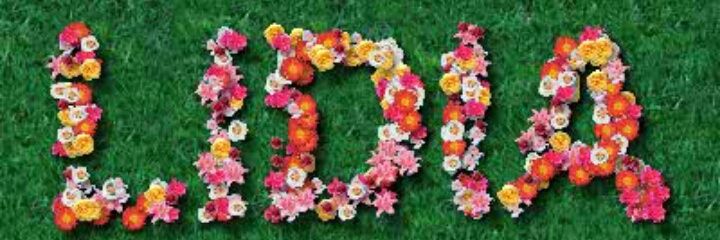 Lidiaawati's profile banner image