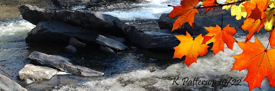 Kevin 🇨🇦📸's banner