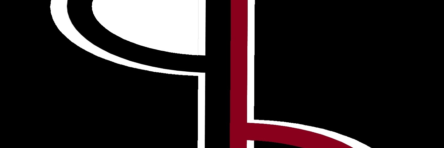 Polygonia.development banner