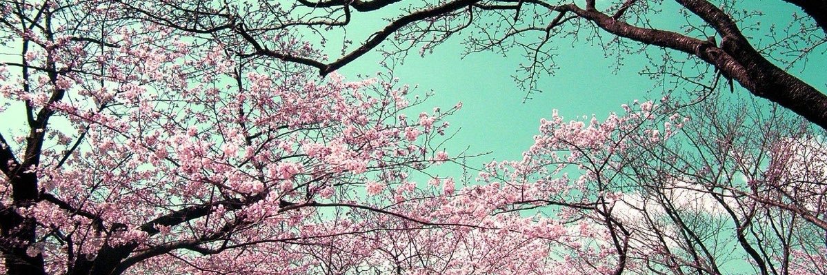 🦄 Aims banner