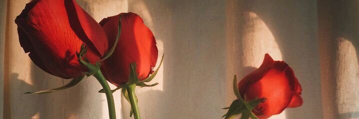 Twitter banner for @scaflett