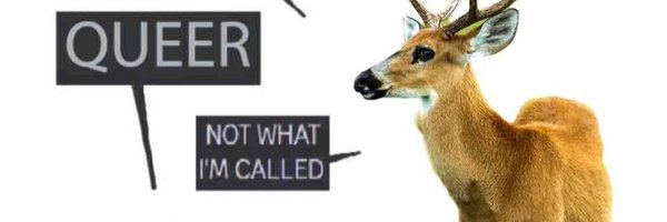 sparkaed Profile Banner