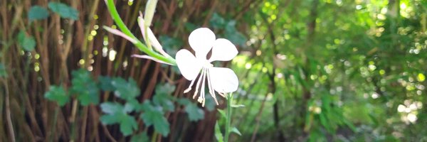 titanianui Profile Banner